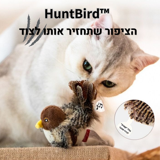™HuntBird –  צעצוע חשמלי המאפשר לחתול חווית צייד אמיתית ומתאגרת
