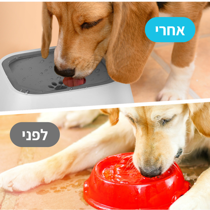 ™MeBowl - מתקן מים חכם לכלב למניעת עקבות מים, ריר ולכלוך