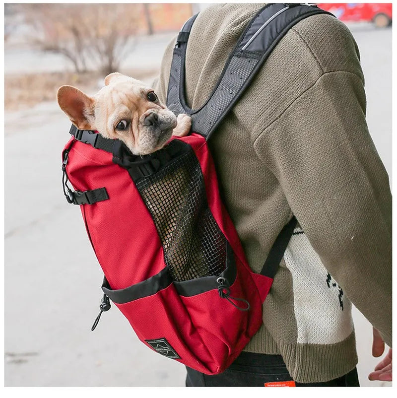 Outdoor Adventure Pet Carrier – Ideal for Hiking & Biking