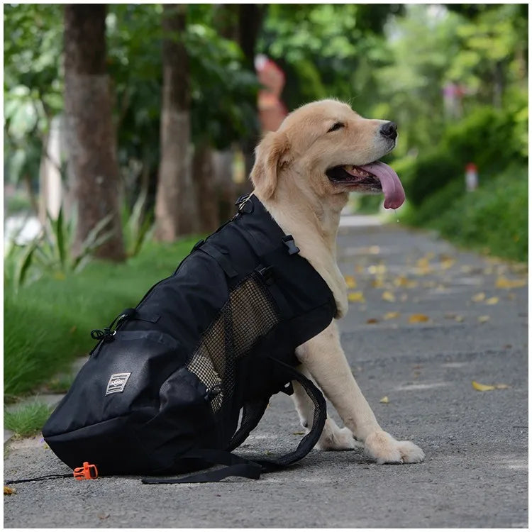 Ergonomic Pet Backpack for Small Breeds – Easy to Carry