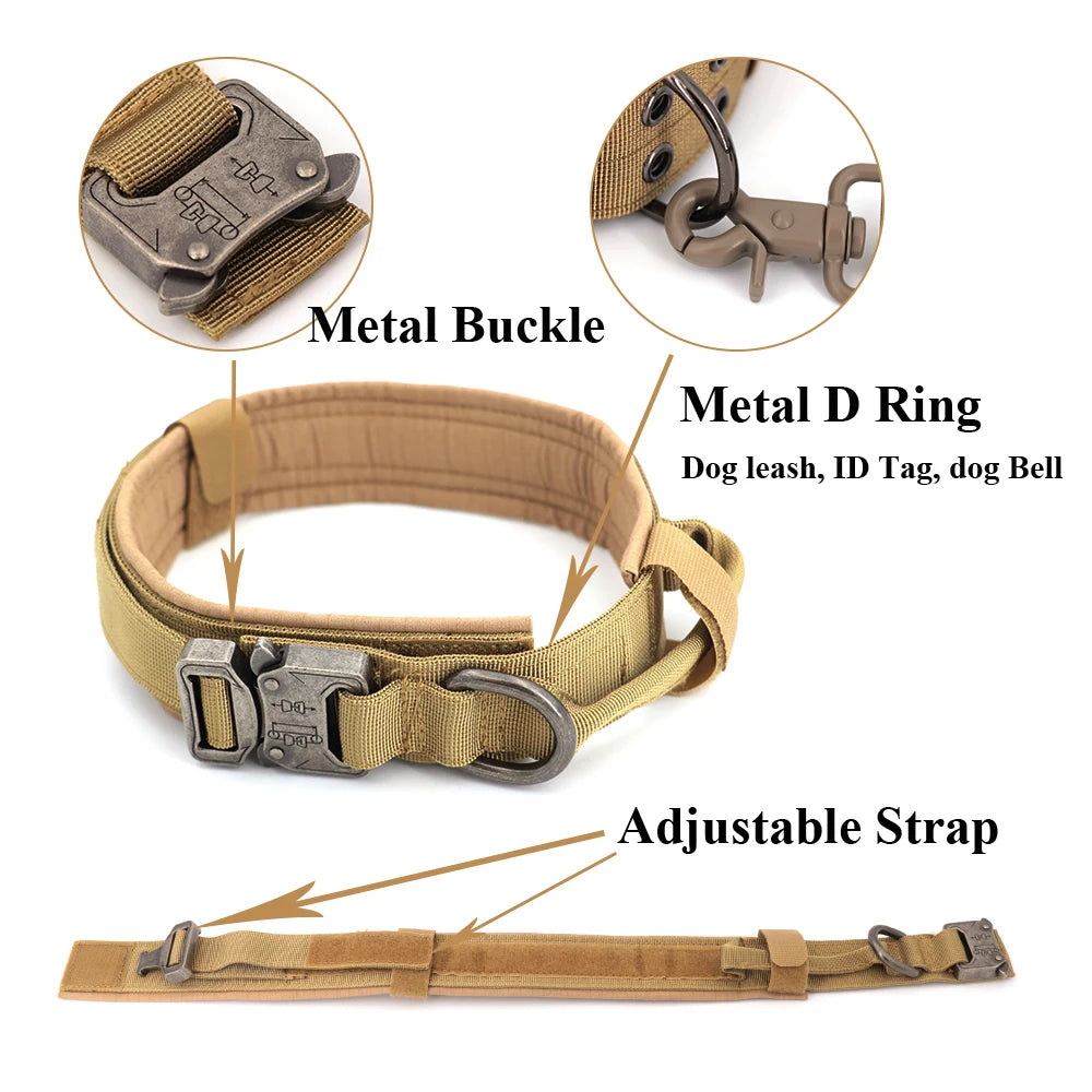 Best Training Collar for Large Dogs – Secure & Comfortable Fit