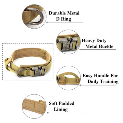 Heavy-Duty Dog Collar with Leash – Ideal for Training & Walking