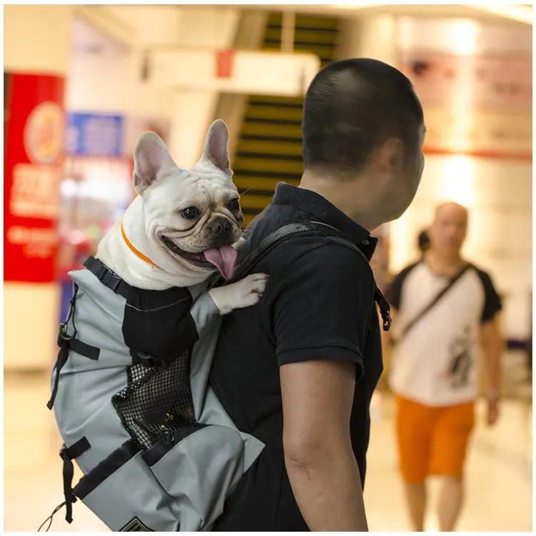 Portable & Lightweight Pet Carrier for Outdoor Use