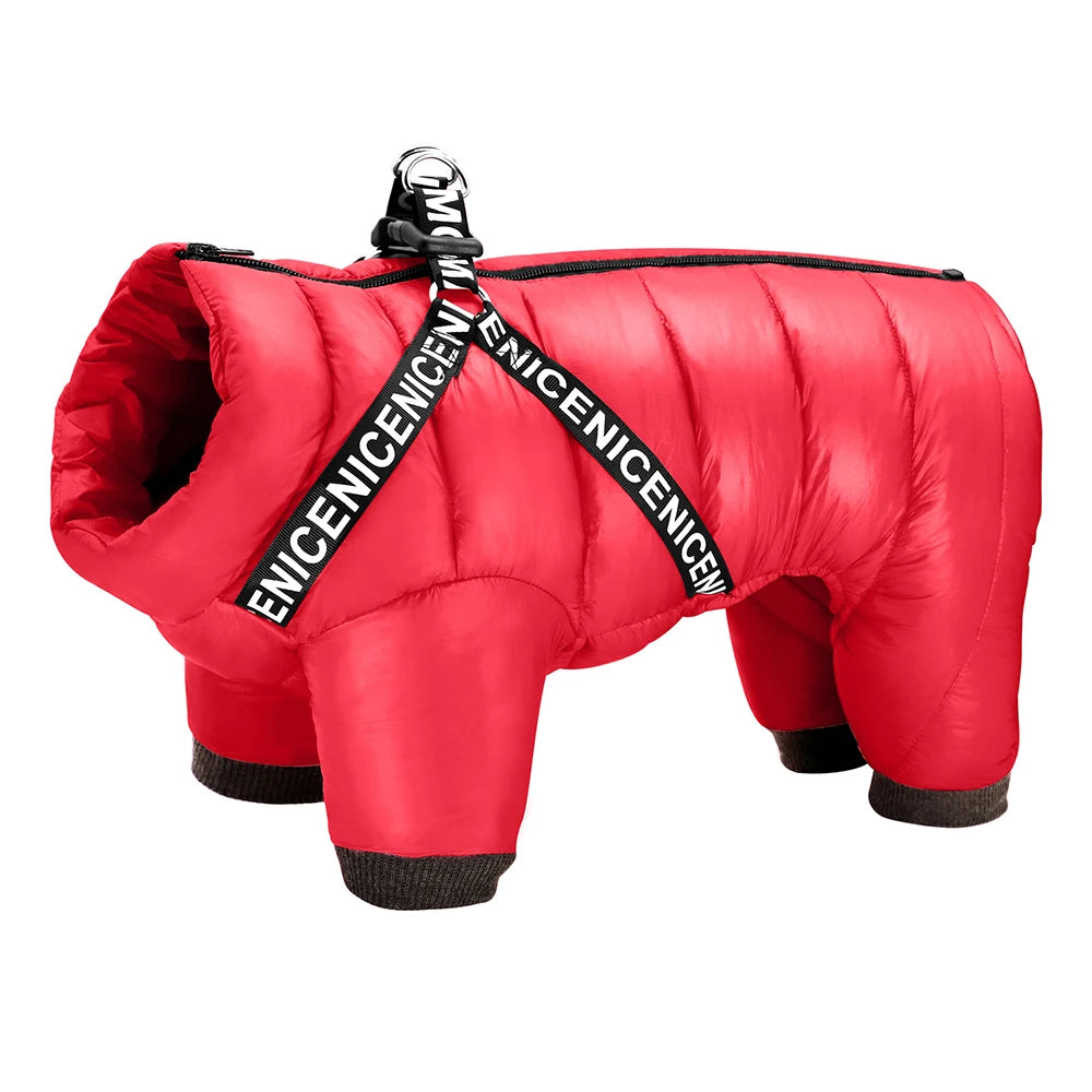 French Bulldog Winter Coat – Stylish & Functional Design