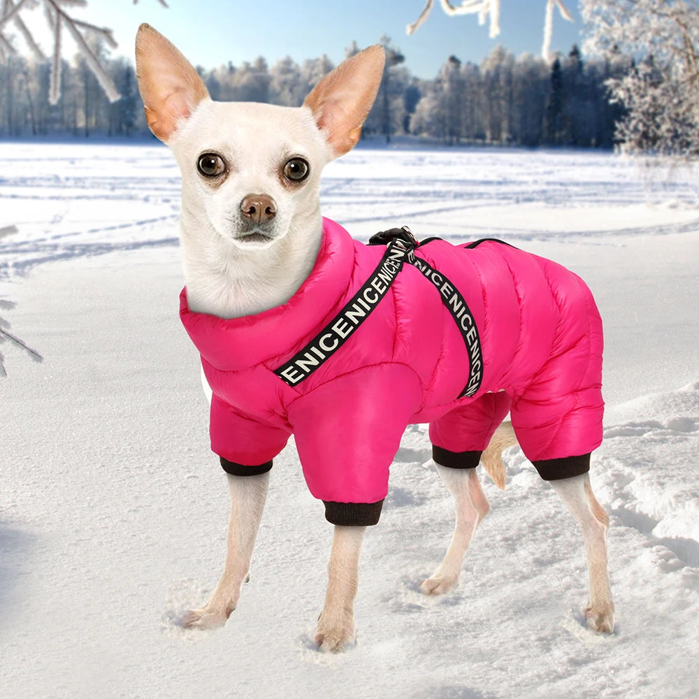 Soft & Comfortable Dog Winter Coat – Perfect for Outdoor Walks