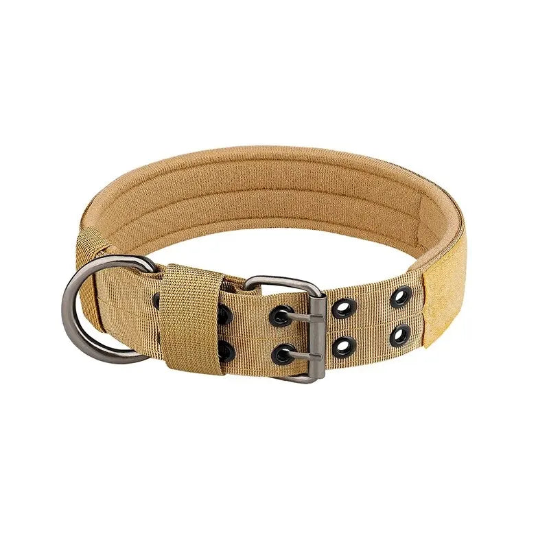 Best Training Collar for Large Dogs – Strong & Reliable