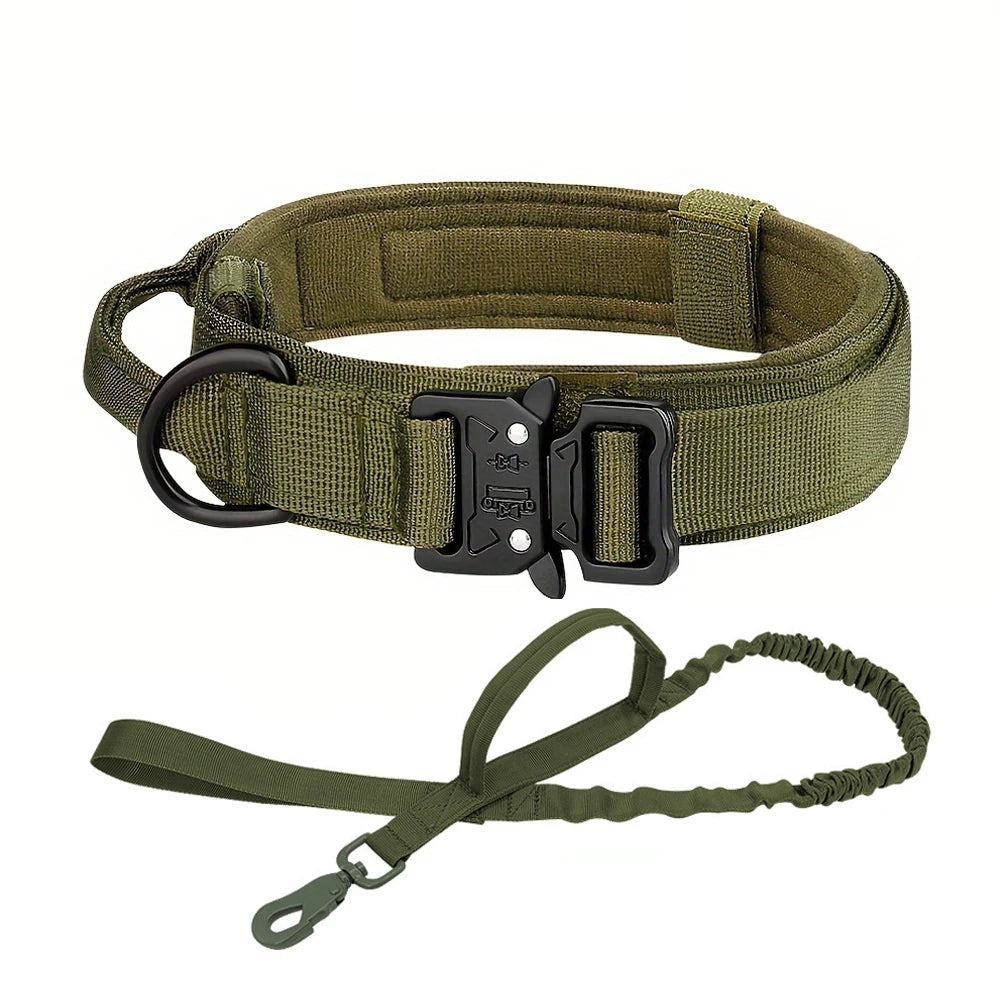 Heavy-Duty Pet Collar with Secure Buckle – Reliable & Long-Lasting