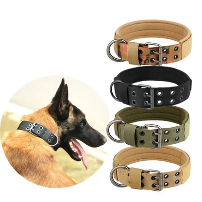 Adjustable Tactical Dog Collar – Heavy-Duty Nylon Design