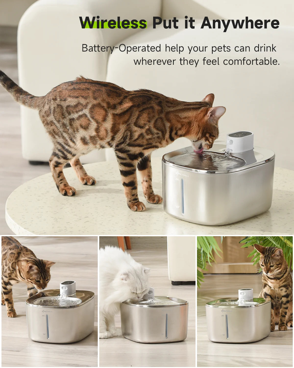 Pet Water Fountain with Auto Sensor – Encourages Hydration