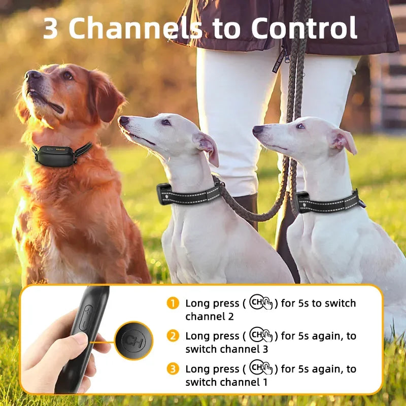 Pet-Friendly Bark Control Collar – Humane & Effective Training