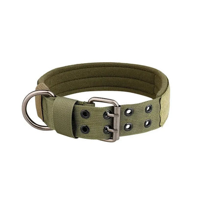 Outdoor Adventure Dog Collar – Made for Strength & Comfort