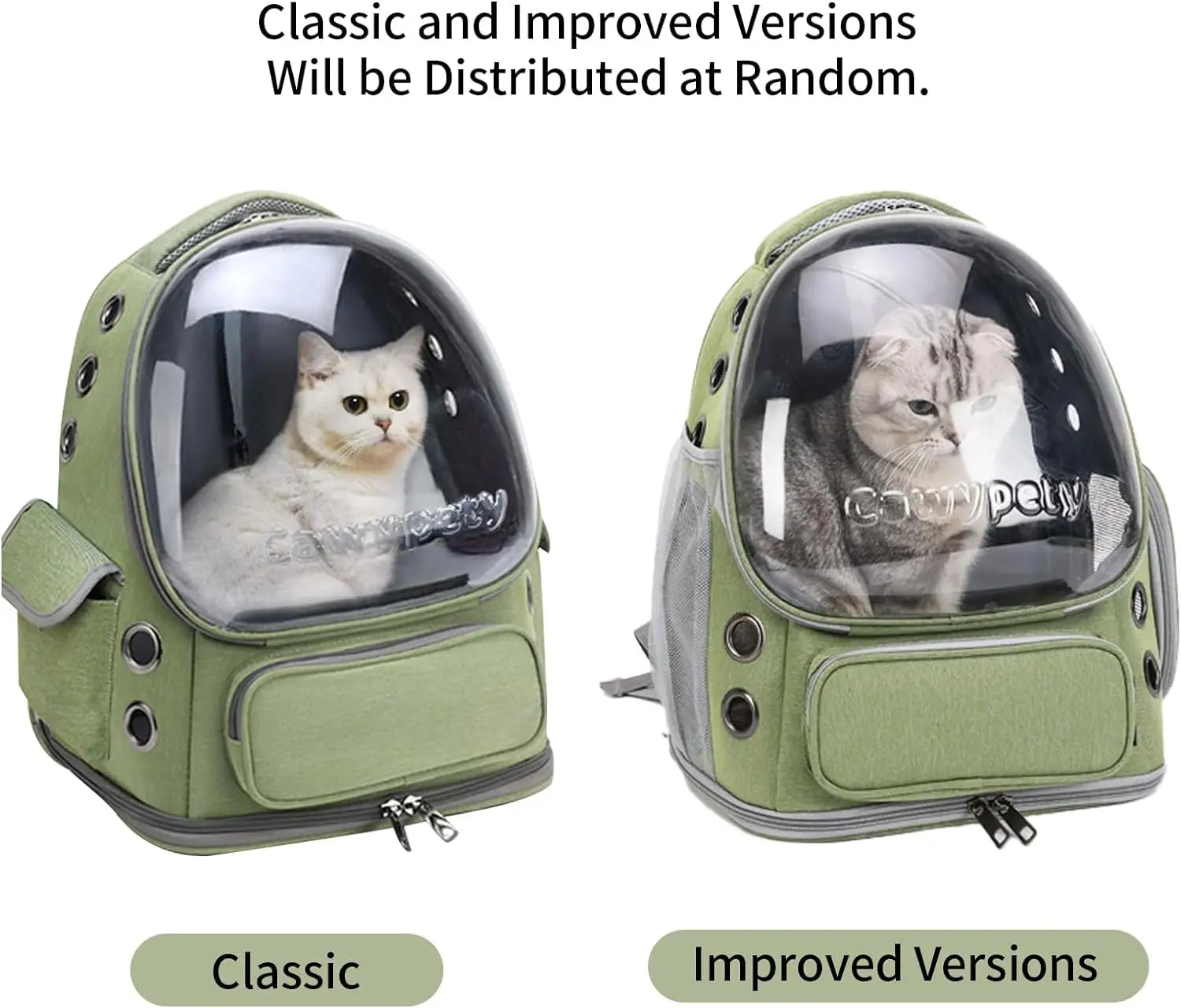 Best Travel Carrier for Small Dogs & Cats – Secure & Stylish