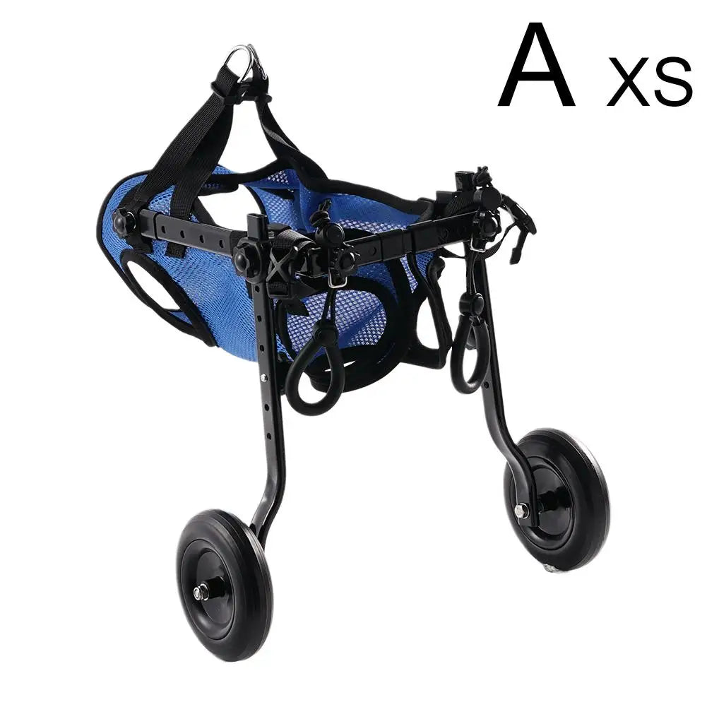 Dog Walking Assistance – Wheelchair for Leg Injury Recovery