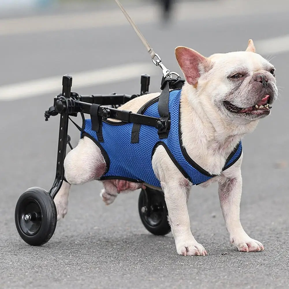 Adjustable Dog Wheelchair – Pet Mobility Aid for Hind Leg Support