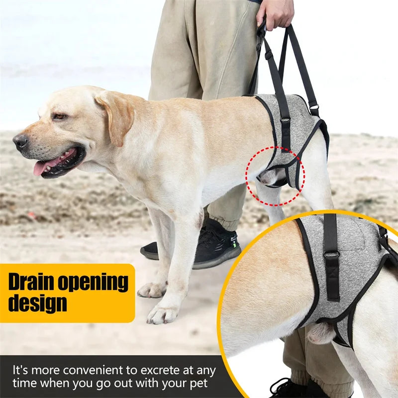 Rear Leg Support Harness for Dogs with Arthritis & Joint Pain