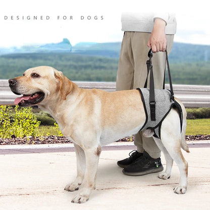 Adjustable Dog Lift Harness – Padded Rear Leg Support for Large Dogs