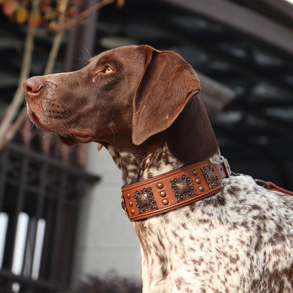 Genuine Leather Dog Collar with Metal Spikes