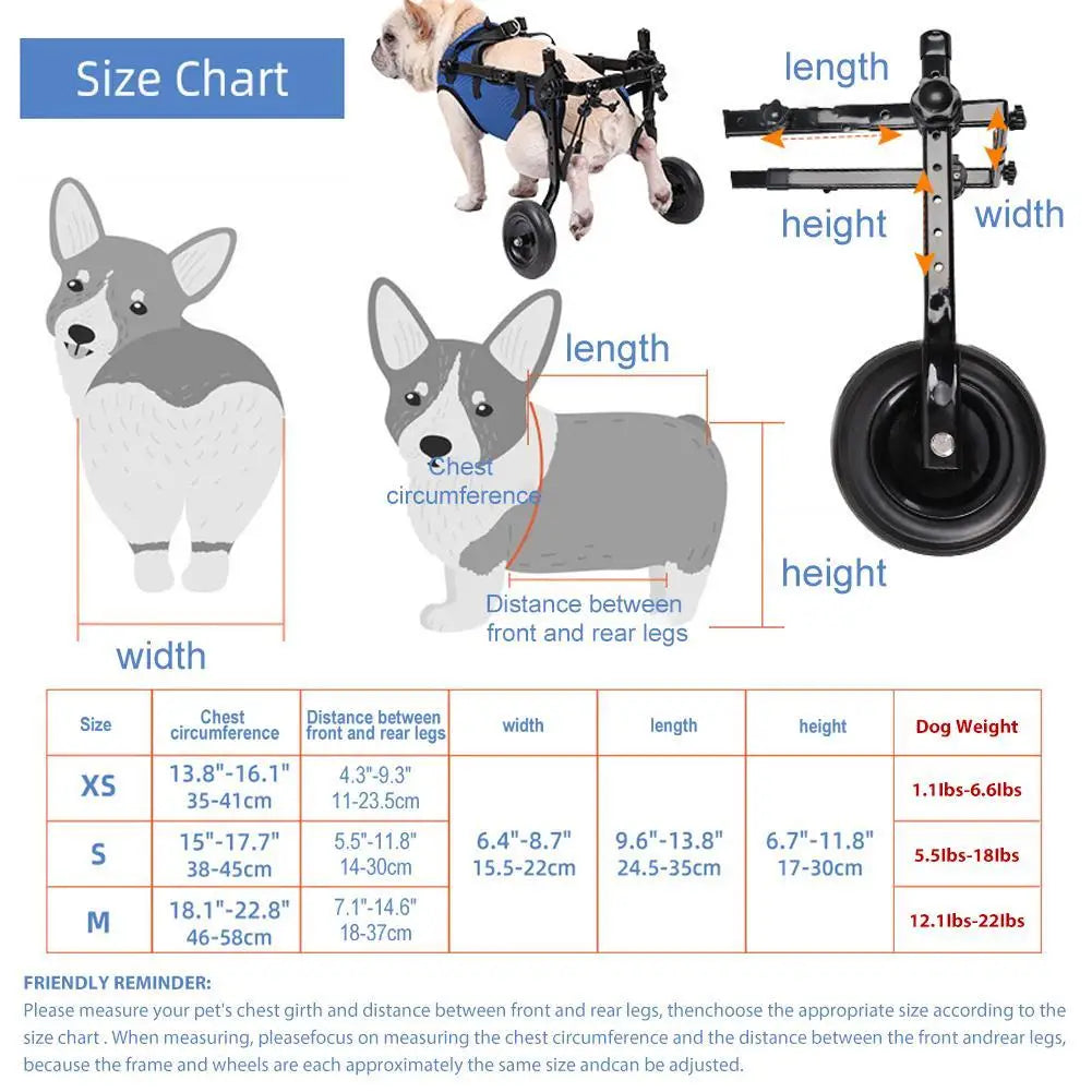 Hind Leg Support for Senior & Disabled Dogs – Easy to Use